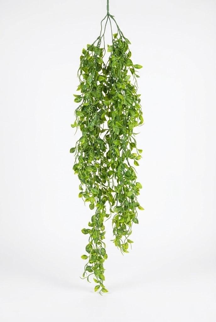 Colgante De Ficus Pumila Artificial