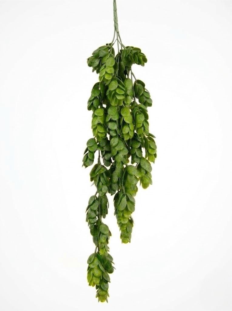 Colgante De Phyllodium Artificial