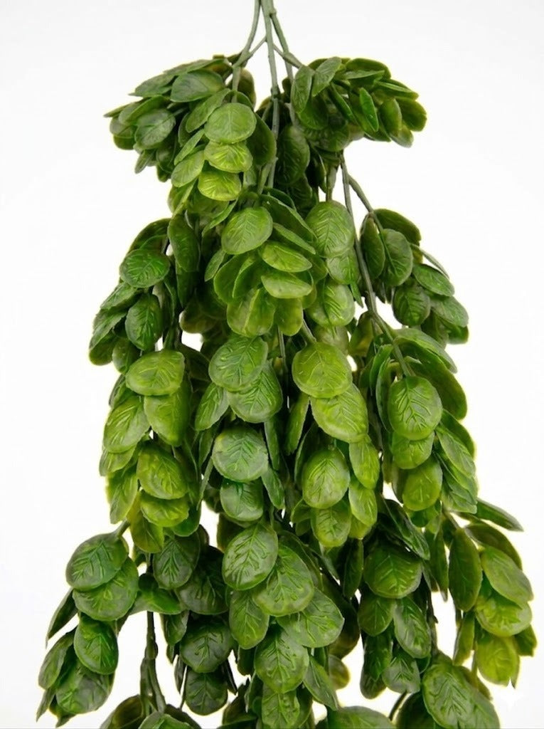 Colgante De Phyllodium Artificial