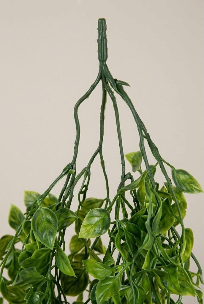 Colgante De Ficus Pumila Artificial